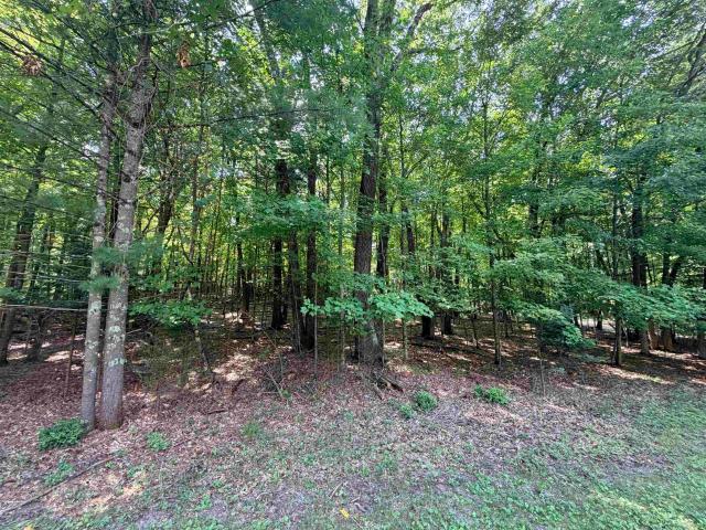Land for sale in Wisconsin