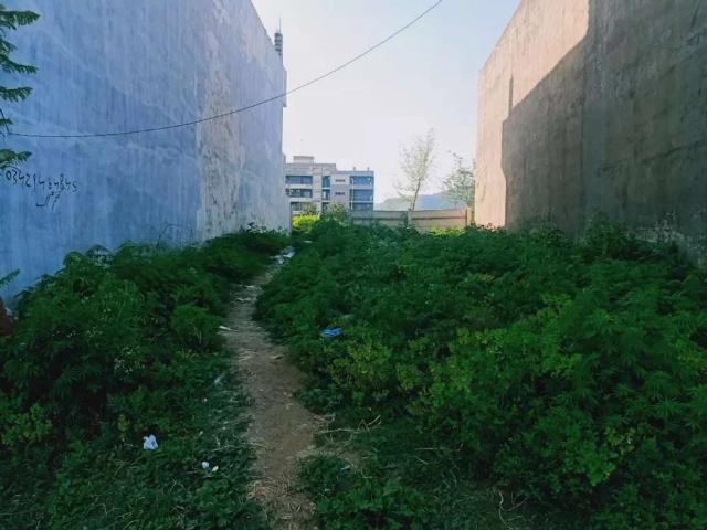 Land for sale in Islamabad