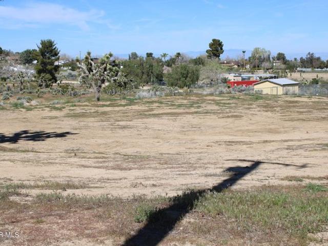 Land for sale in Pearblossom, California