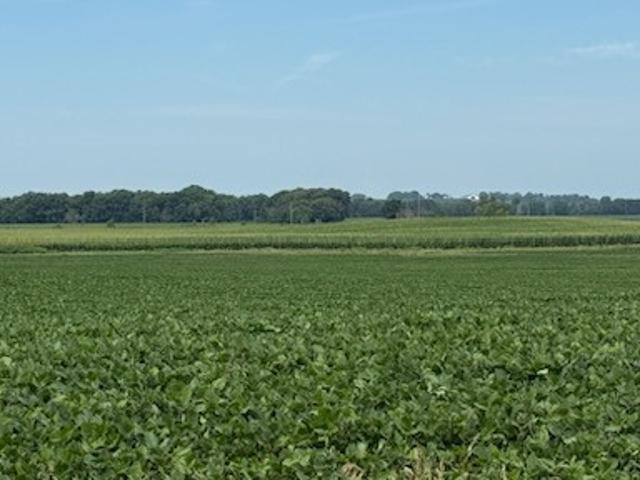Land for sale in Lynnville, Iowa