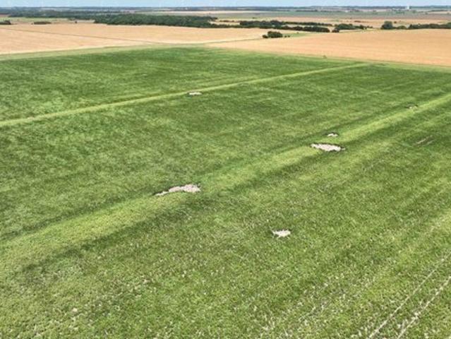 Land for sale in Kansas