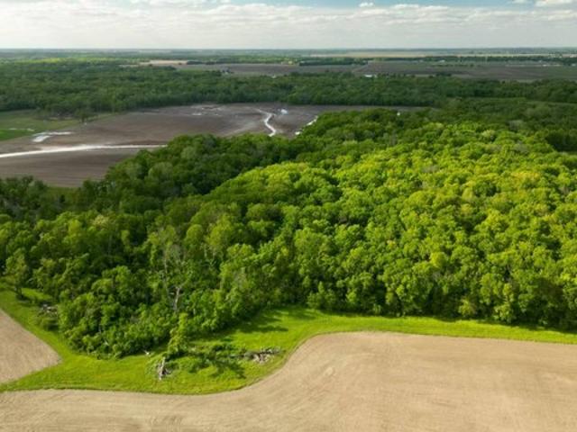 Land for sale in Taylorville, Illinois