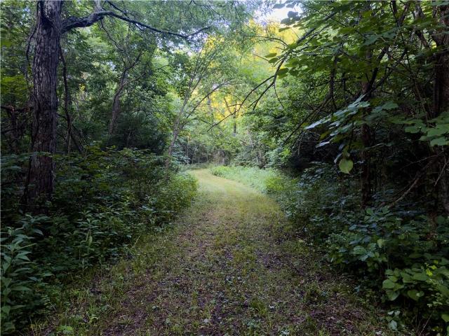 Land for sale in Ray, Missouri