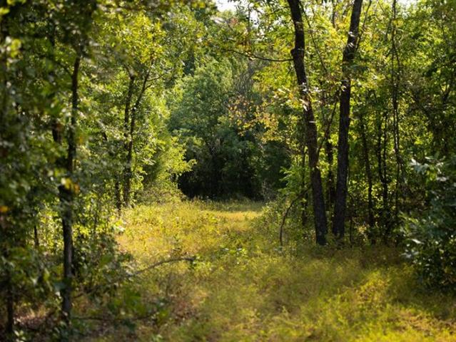 Land for sale in Carter, Oklahoma