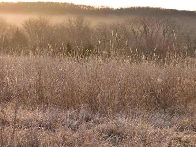 Land for sale in Bethany, Missouri