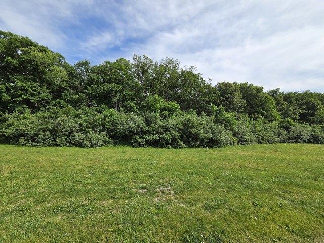 Land for sale in Marseilles, Illinois