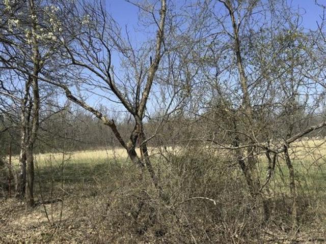 Land for sale in Wyandotte, Oklahoma