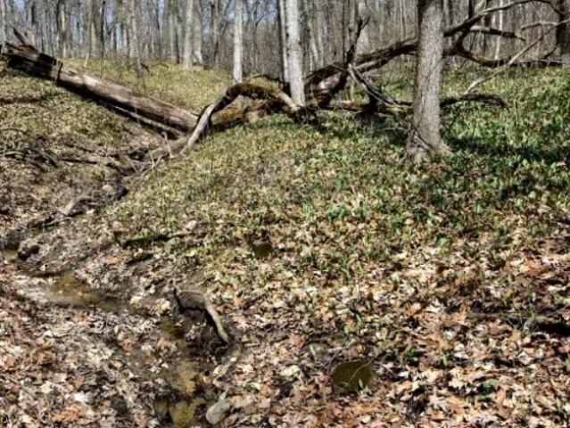 Land for sale in Ashtabula, Ohio