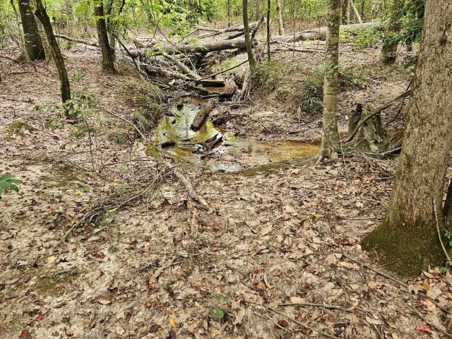 Land for sale in Carthage, Dallas County