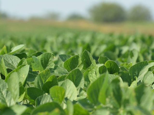 Land for sale in Kansas