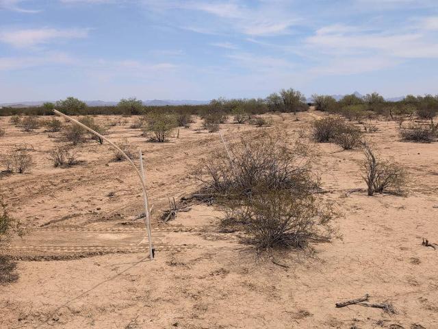 Land for sale in Salome, Arizona