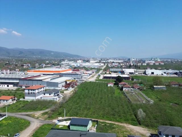 Hendek, Sakarya içerisinde satılık mülk