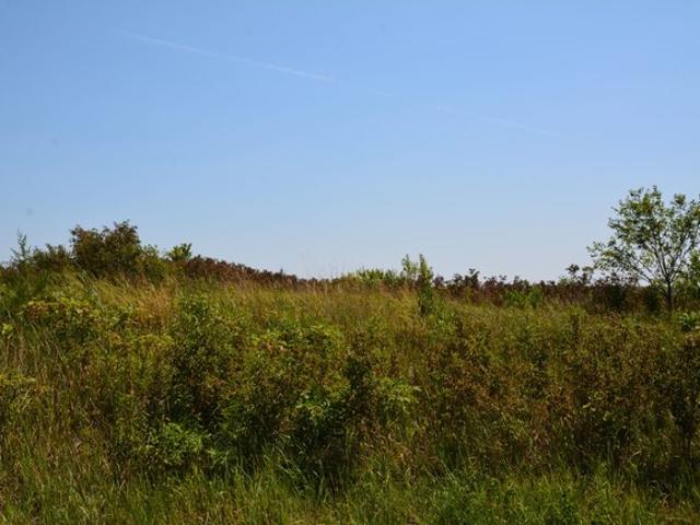 Land for sale in Kansas