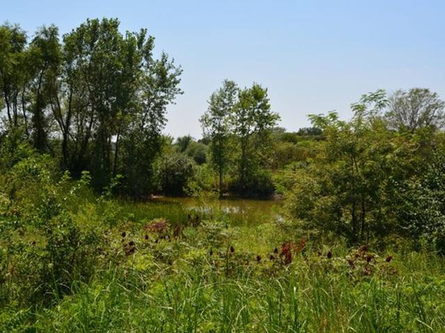 Land for sale in Kansas