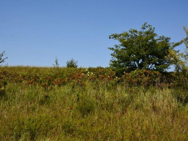 Land for sale in Kansas