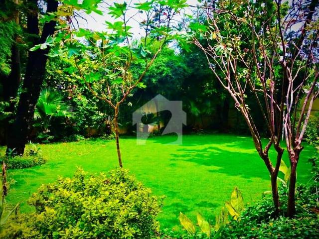 House for rent in Islamabad
