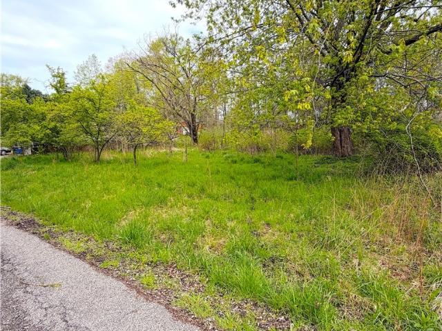 Land for sale in Ashtabula, Ohio