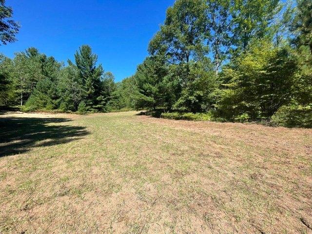 Land for sale in Luther, Michigan