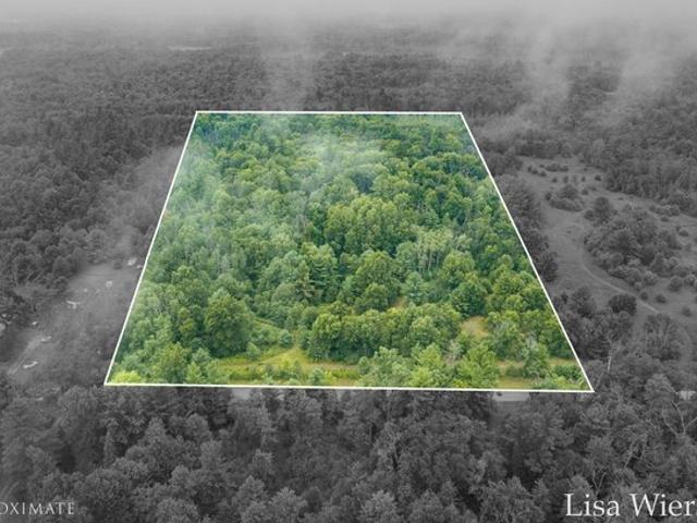 Land for sale in White Cloud, Michigan