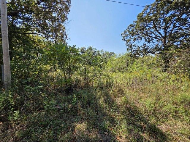 Land for sale in Vernon, Missouri