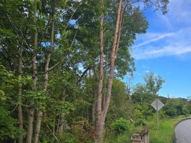 Land for sale in Schuylkill Haven, Pennsylvania