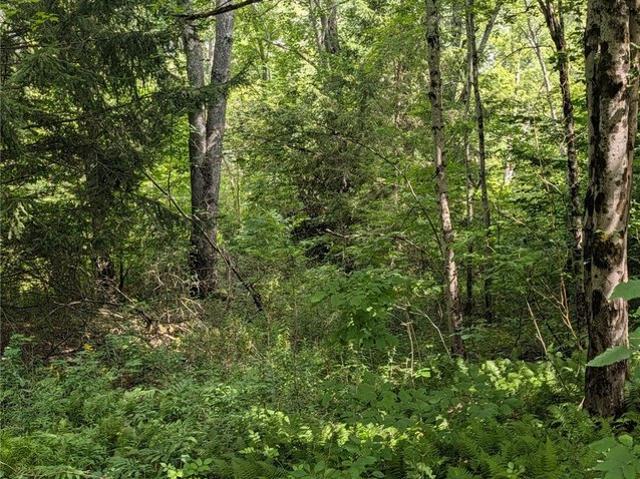 Land for sale in Afton, New York