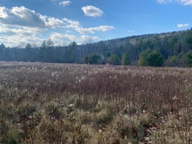 Land for sale in West Stockbridge