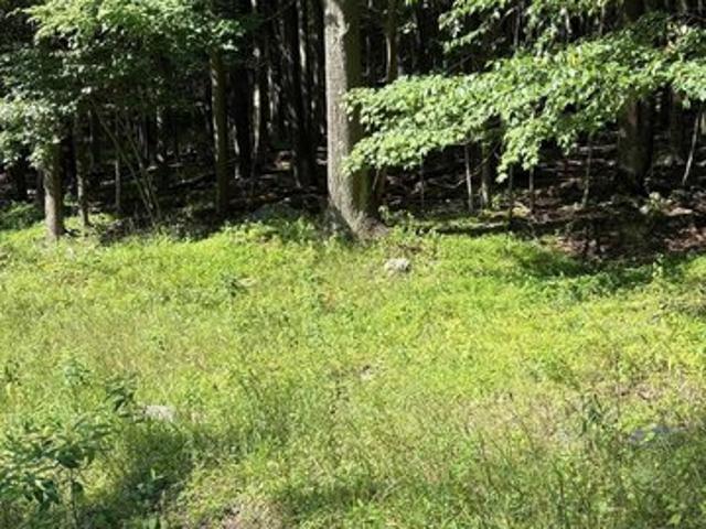 Land for sale in Terra Alta, West Virginia