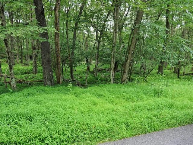 Land for sale in Terra Alta, West Virginia