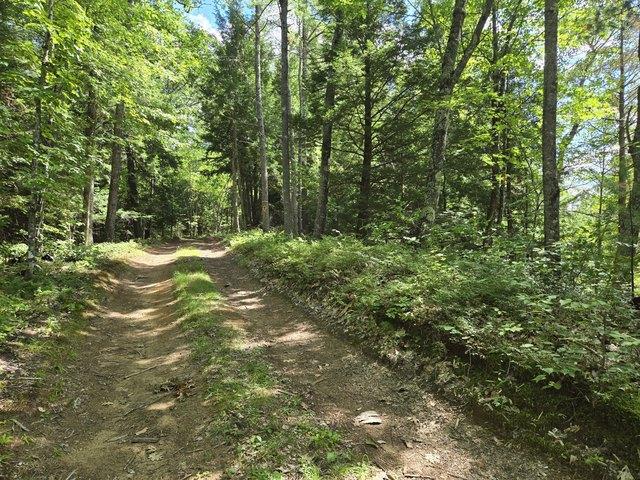 Land for sale in Andover, Maine