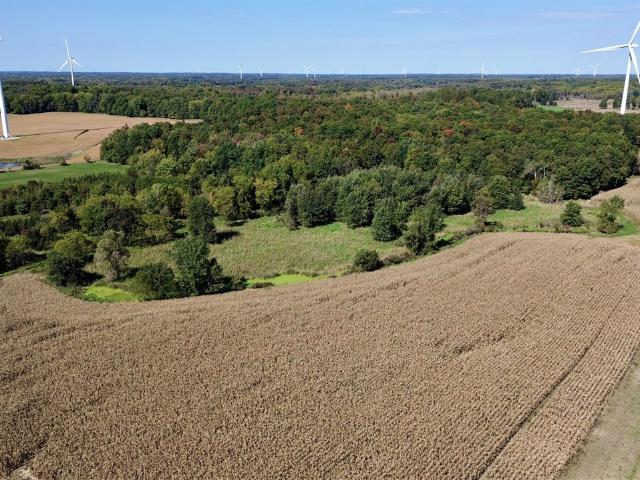Land for sale in Pittsford Township, Hillsdale County