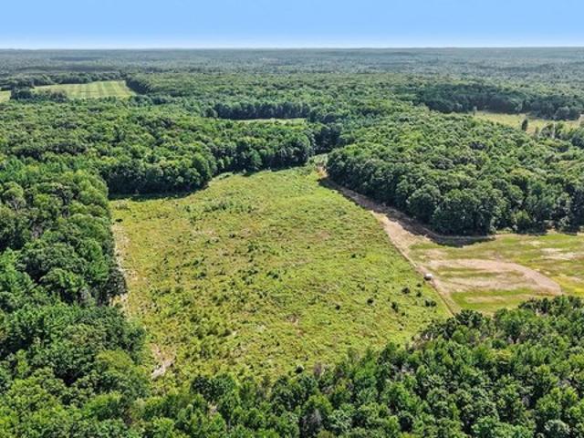 Land for sale in White Cloud, Michigan