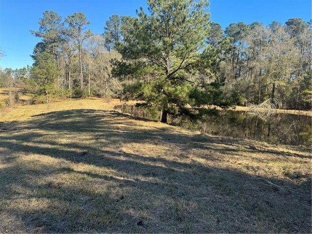 Land for sale in Amite, Louisiana