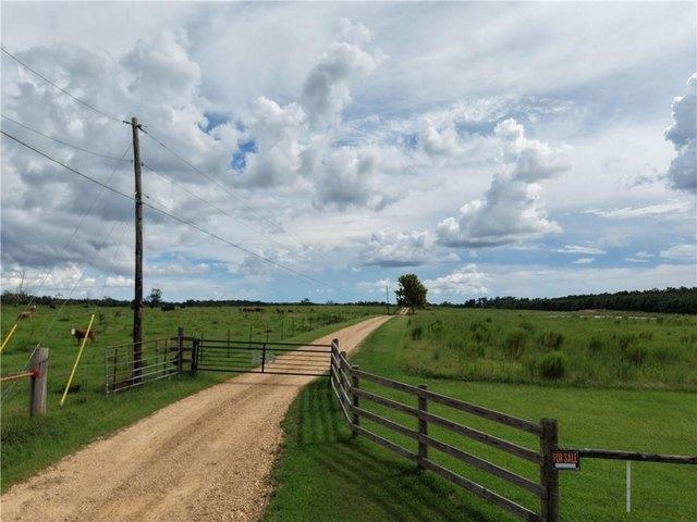 Land for sale in Amite City, Tangipahoa Parish