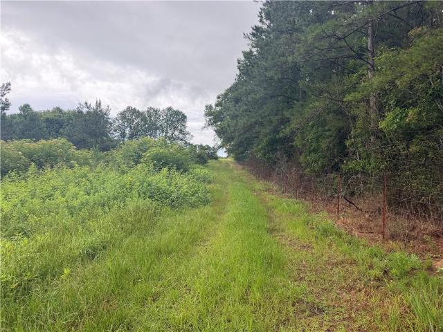 Land for sale in Amite, Louisiana