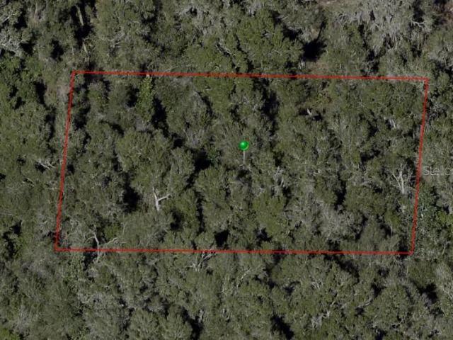 Land for sale in De Leon Springs, Florida