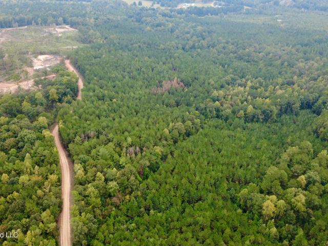 Land for sale in Louisville, Winston County