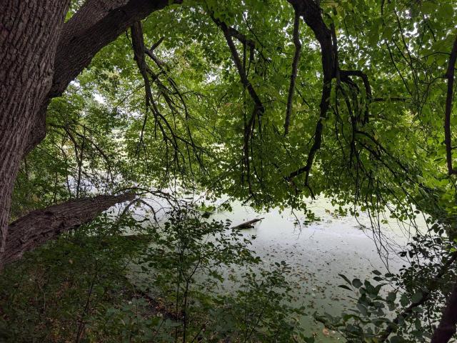 Land for sale in Barron, Wisconsin