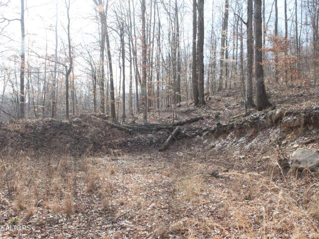 Land for sale in Tennessee