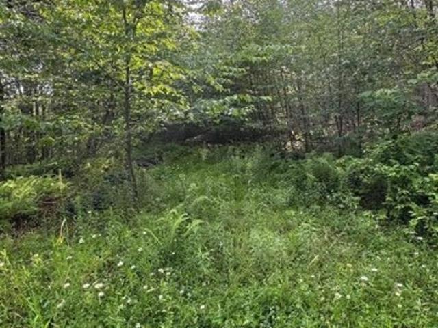 Land for sale in Windsor