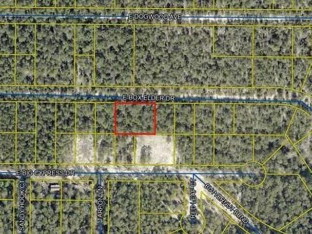 Land for sale in Walton, Florida
