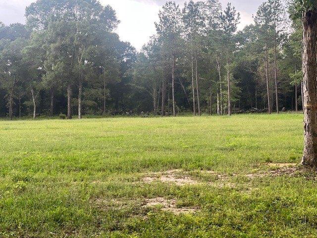 Land for sale in Polk, Texas