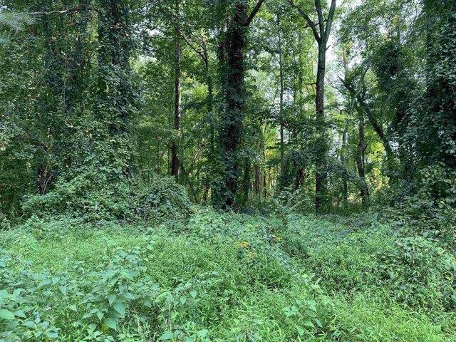 Land for sale in Fuquay Varina