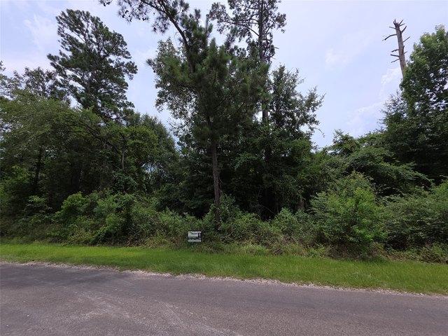 Land for sale in Polk, Texas