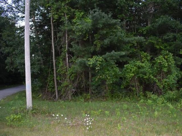 Land for sale in Greenbush, Michigan