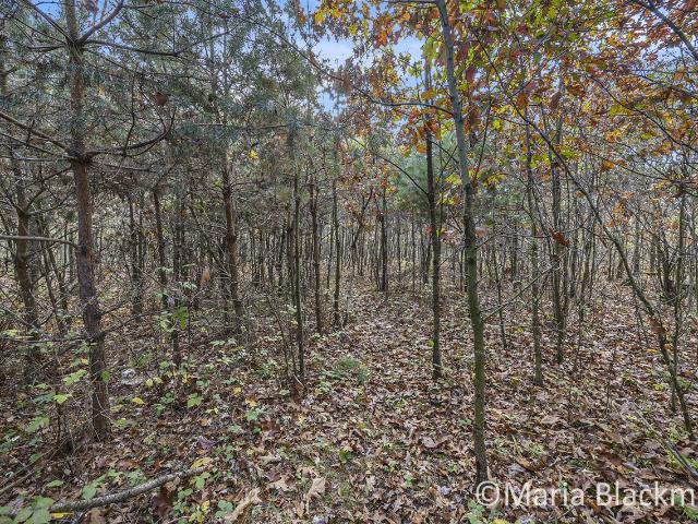 Land for sale in Ionia, Michigan