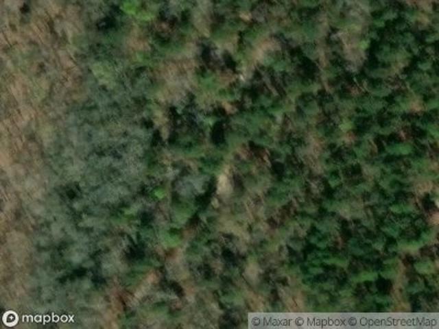 Property for sale in Pelion, Lexington County