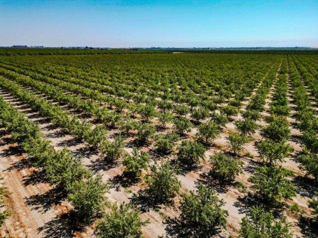 Land for sale in Selma