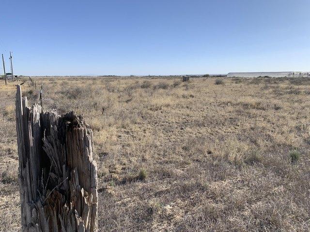 Land for sale in New Mexico