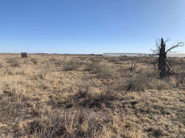 Land for sale in New Mexico